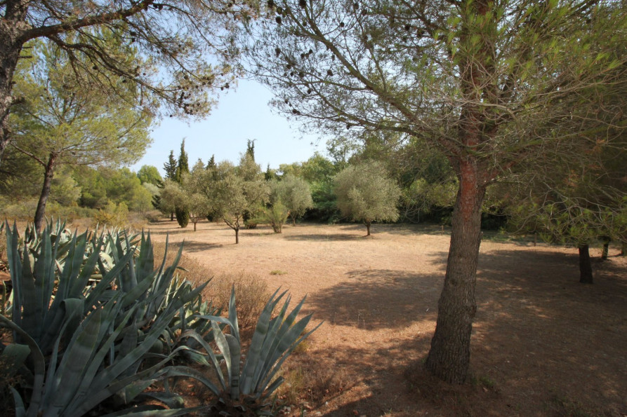 vente Villa Montagnac - Photo 2