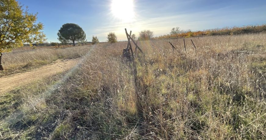 vente Terrain agricole Tourbes