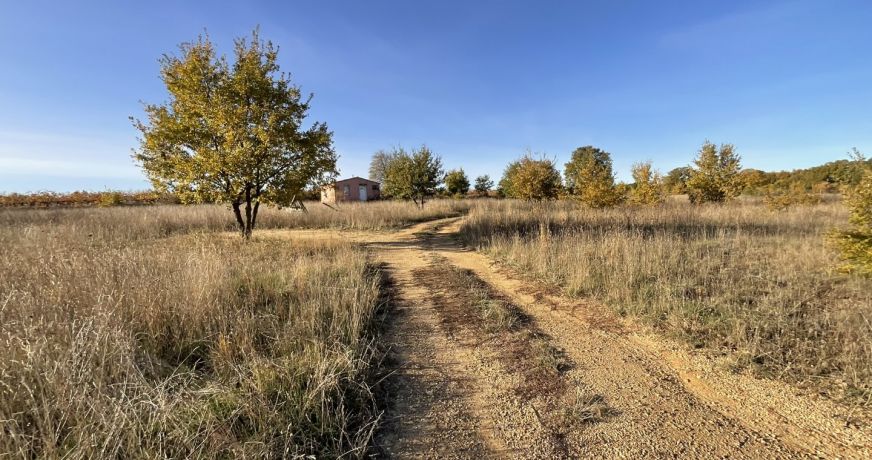 vente Terrain agricole Tourbes