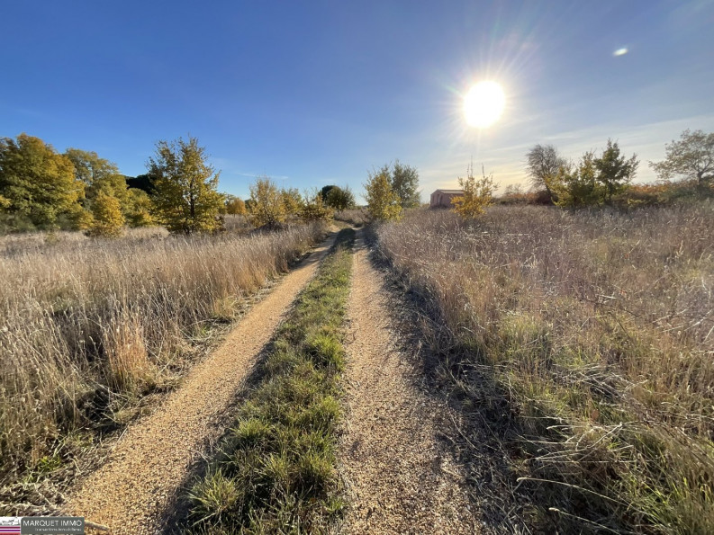 vente Terrain agricole Tourbes - Photo 6