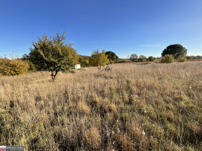vente Terrain agricole Tourbes - Photo 8