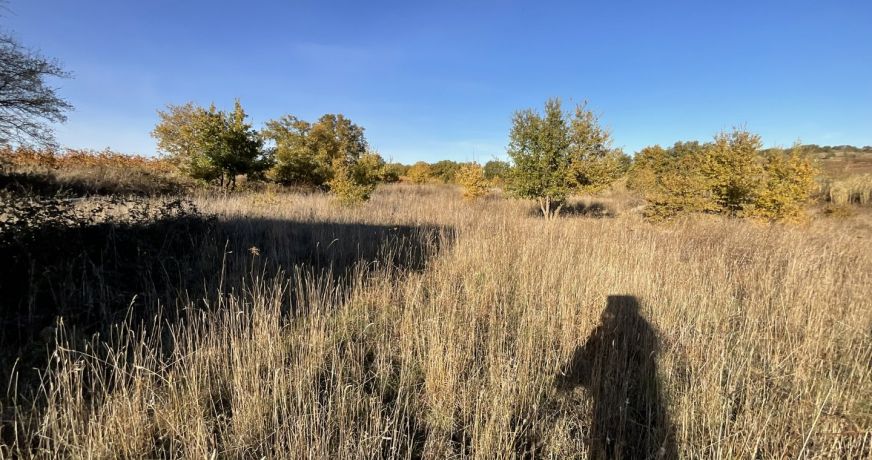 vente Terrain agricole Tourbes