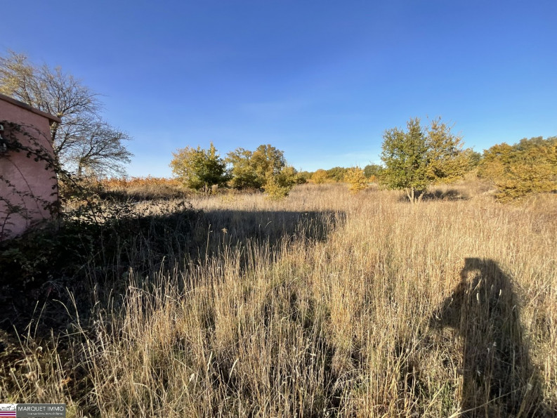 vente Terrain agricole Tourbes - Photo 10