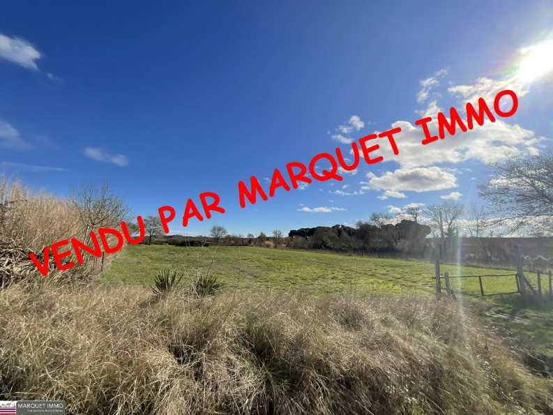 à vendre Terrain agricole Servian - Photo 1