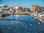 for sale Appartement en frais réduits Valras Plage