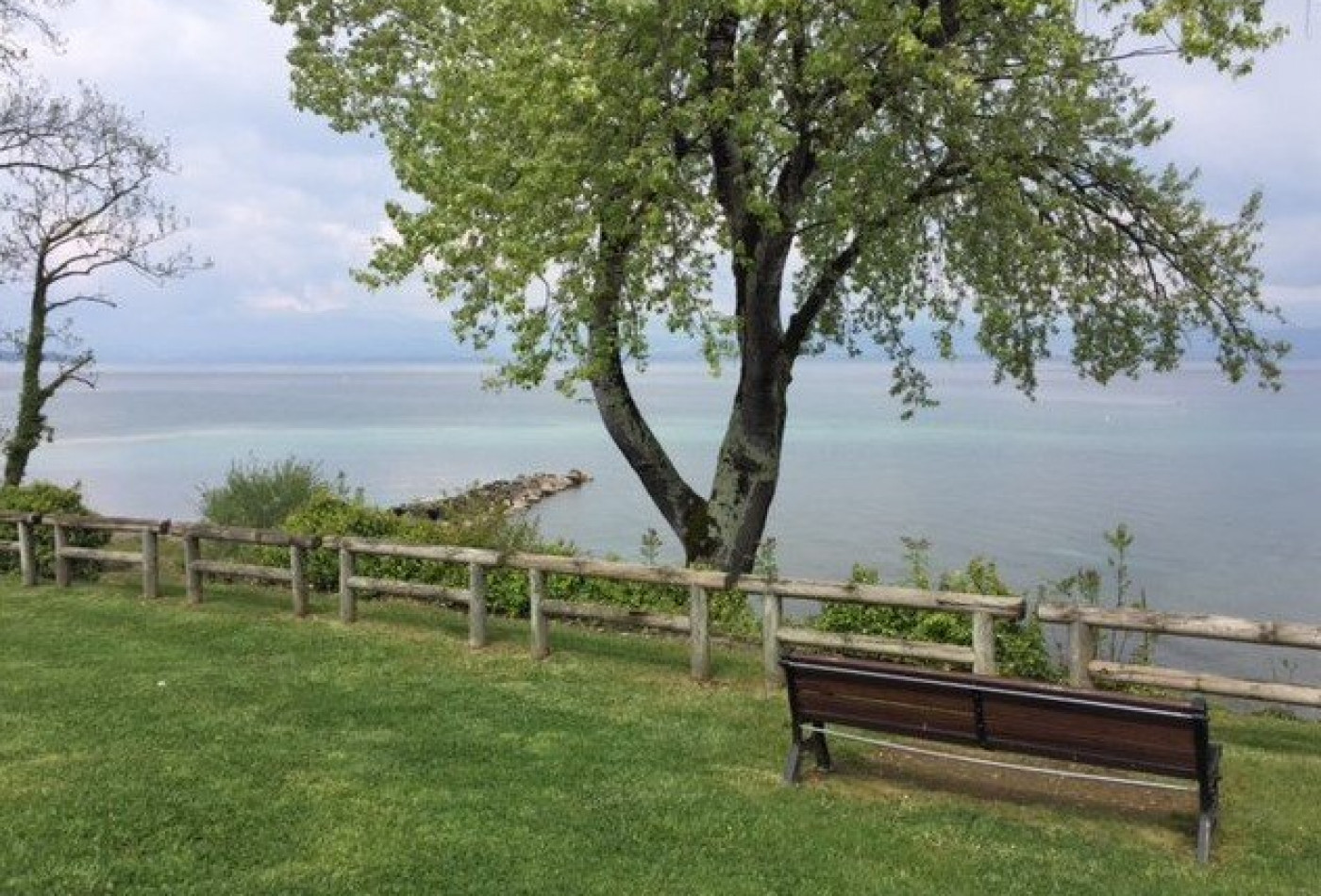 vente Appartement en frais réduits Thonon Les Bains - Photo 3