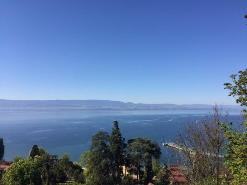 vente Appartement en frais réduits Thonon Les Bains - Photo 1