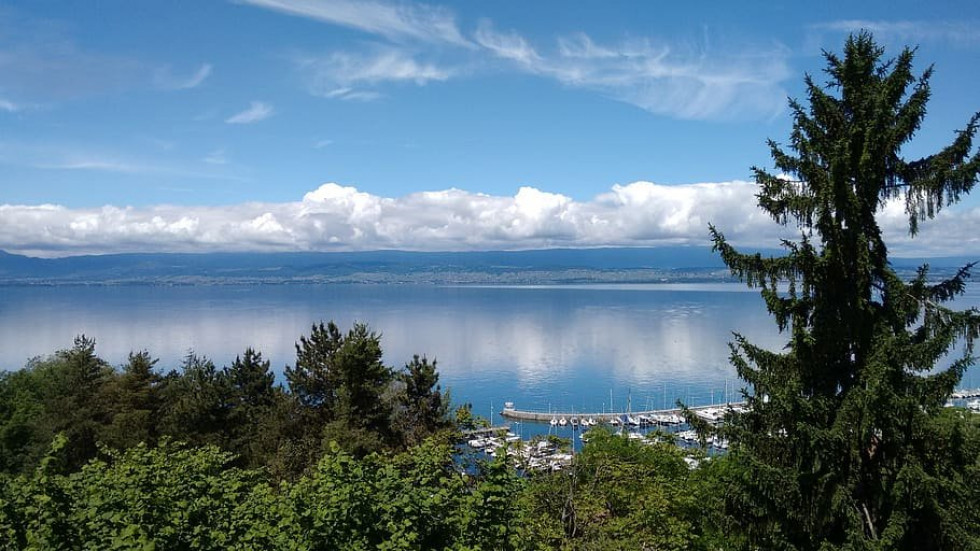 vente Appartement en frais réduits Thonon Les Bains - Photo 6