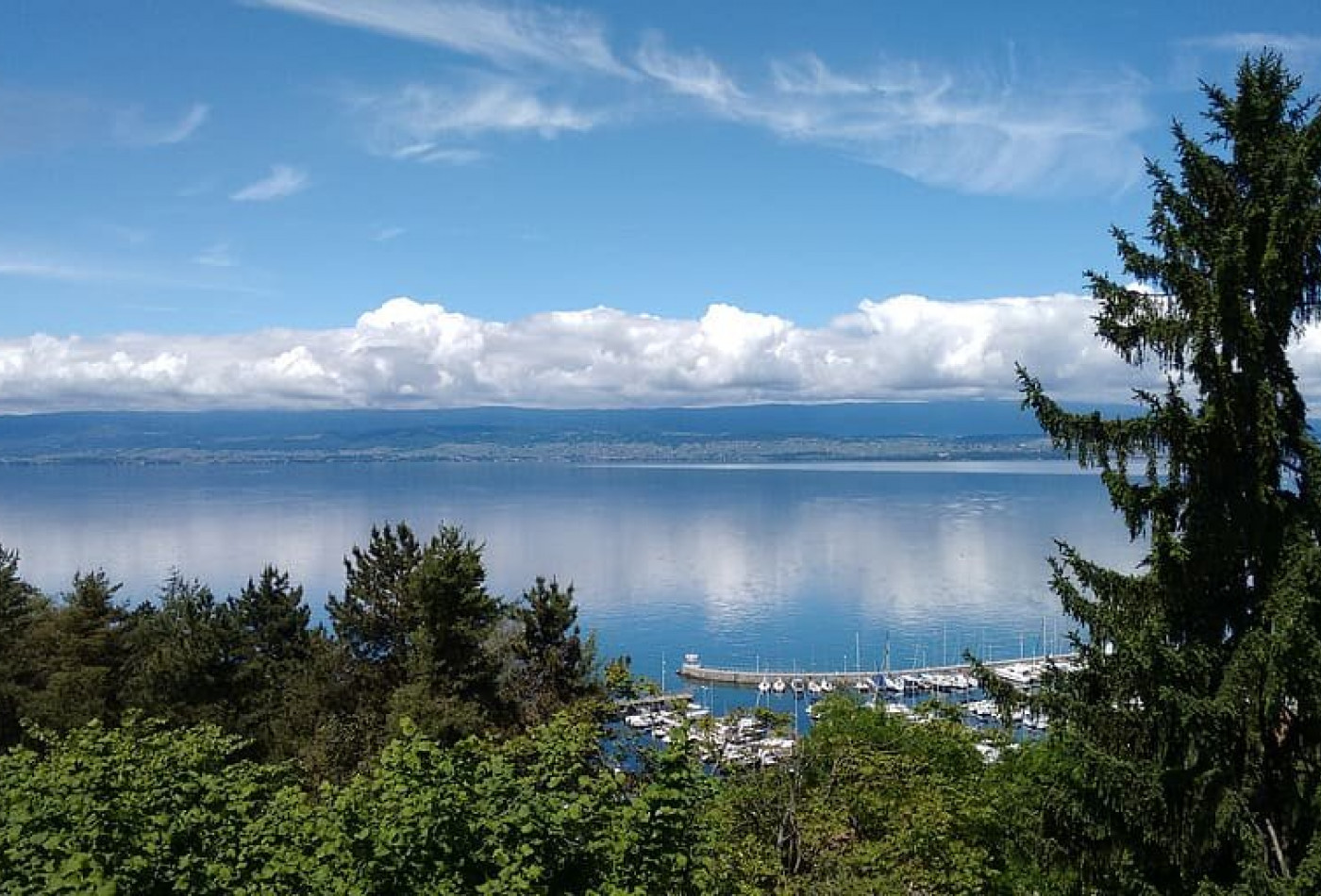 vente Appartement en frais réduits Thonon Les Bains - Photo 6