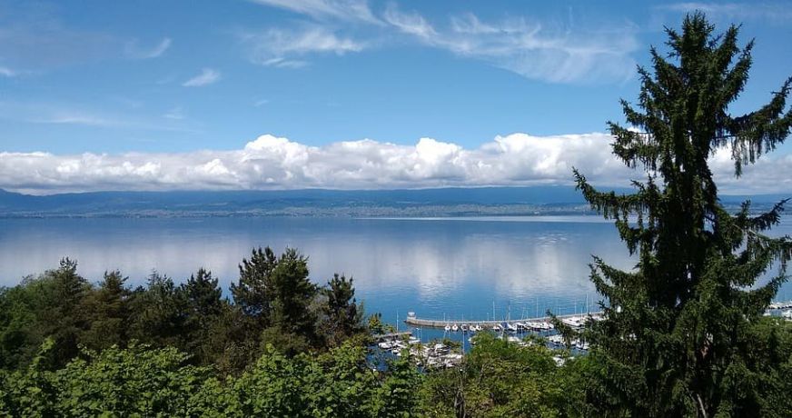vente Appartement en frais réduits Thonon Les Bains