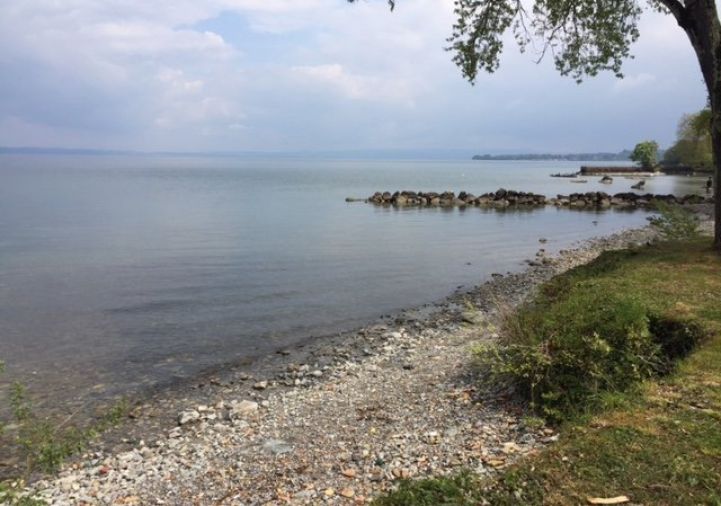 for sale Appartement en frais réduits Thonon Les Bains