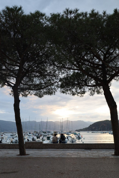 à vendre Appartement en frais réduits Saint Laurent Du Var - Photo 1