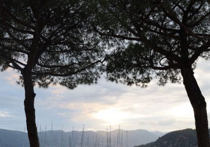 vente Appartement en frais réduits Saint Laurent Du Var