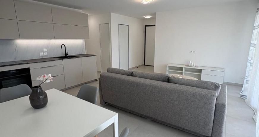 location Appartement terrasse Ferney Voltaire