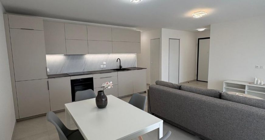 location Appartement terrasse Ferney Voltaire