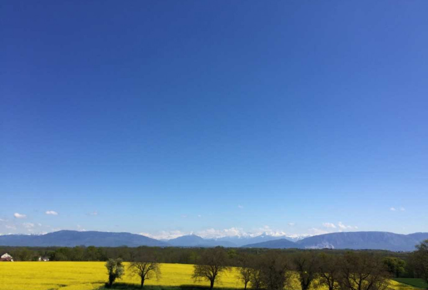 vente Appartement en frais réduits La Roche Sur Foron - Photo 1