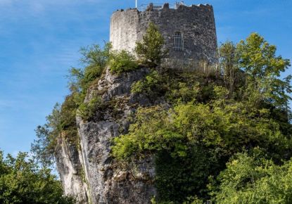 vente Appartement en frais réduits La Roche Sur Foron