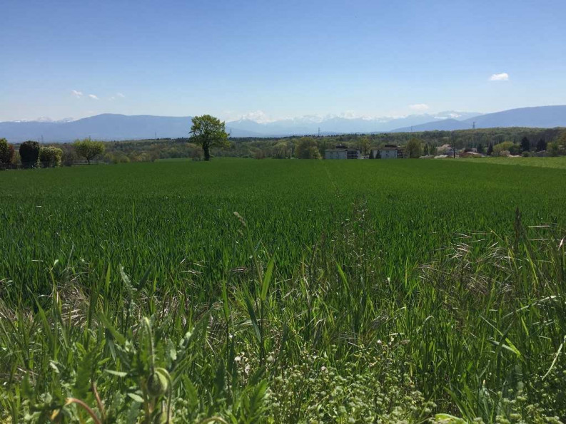 vente Appartement en frais réduits La Roche Sur Foron - Photo 1