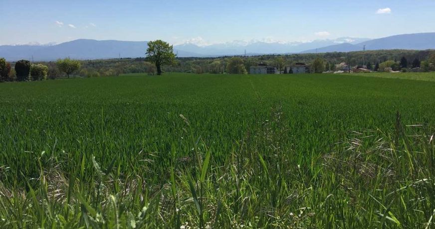 vente Appartement en frais réduits La Roche Sur Foron