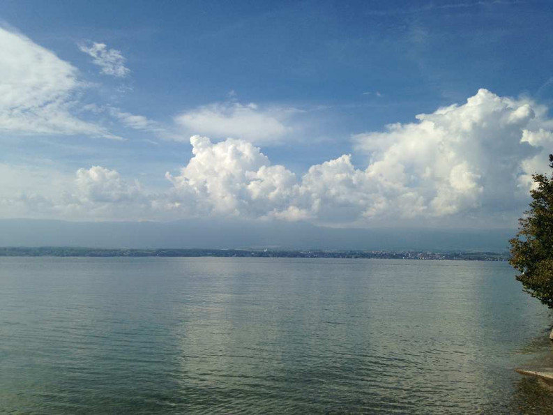 vente Appartement en frais réduits Saint Julien En Genevois - Photo 2