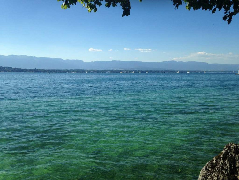 for sale Appartement en frais réduits Annecy - Photo 1