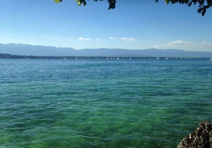 vente Appartement en frais réduits Annecy