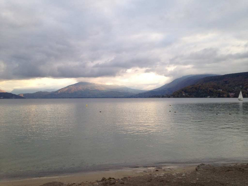 vente Appartement en frais réduits Annecy - Photo 1