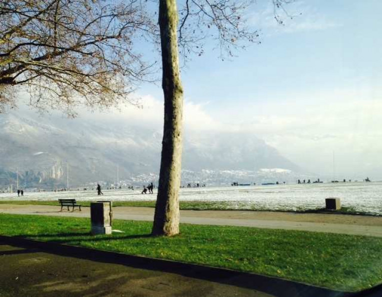 vente Appartement en frais réduits Annecy - Photo 1