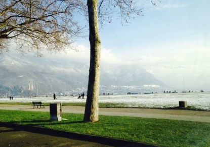 vente Appartement en frais réduits Annecy