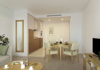 vente Appartement en frais réduits Annecy