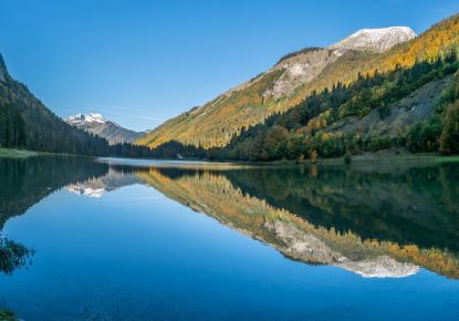 vente Appartement en frais réduits Montriond
