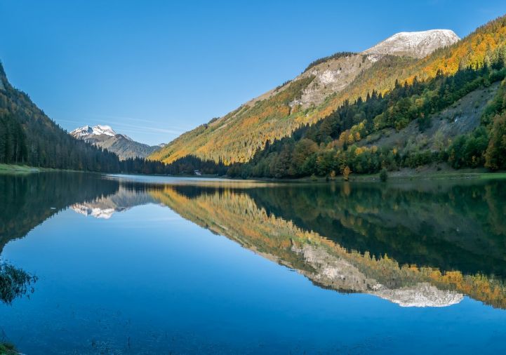 for sale Appartement en frais réduits Montriond