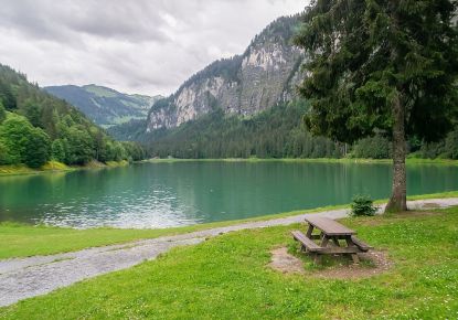 vente Appartement en frais réduits Montriond