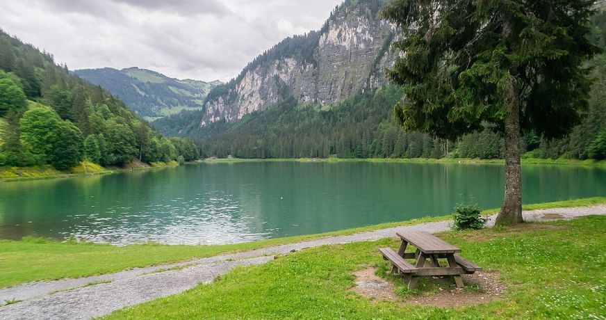 vente Appartement en frais réduits Montriond