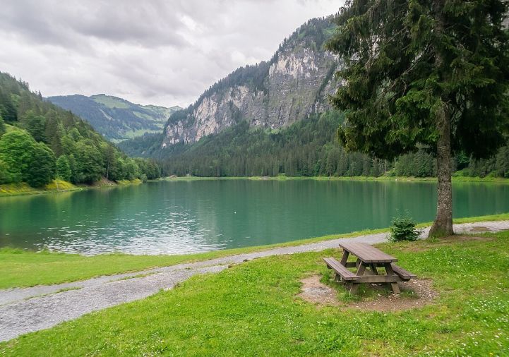 for sale Appartement en frais réduits Montriond