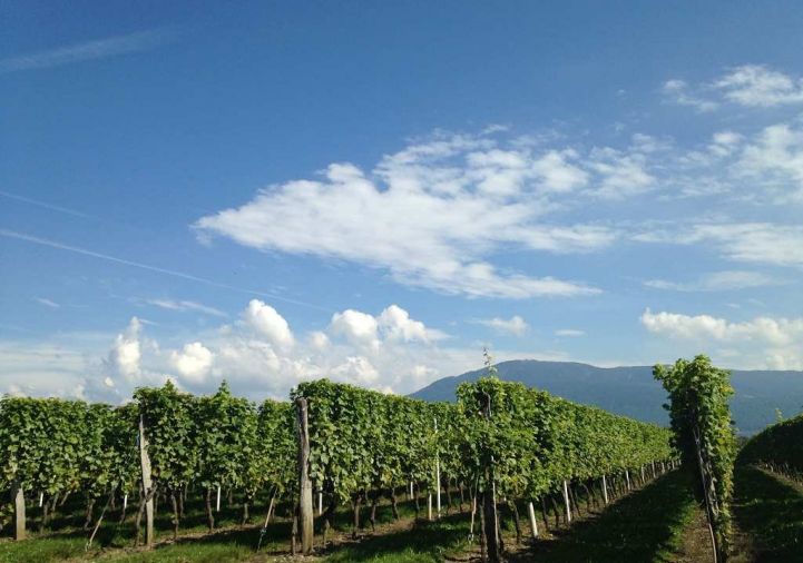 for sale Appartement en frais réduits Segny