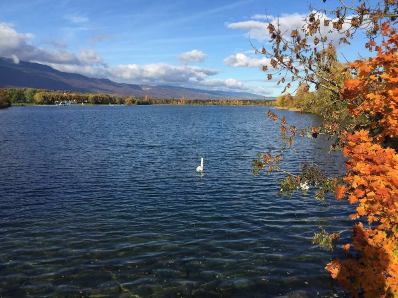 for sale Appartement en frais réduits Ferney Voltaire - Photo 2