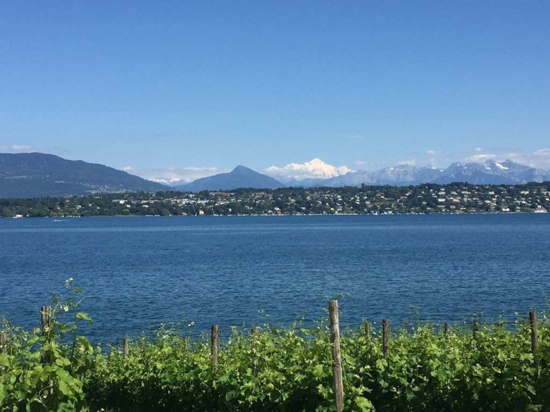 for sale Appartement en frais réduits Ferney Voltaire - Photo 1