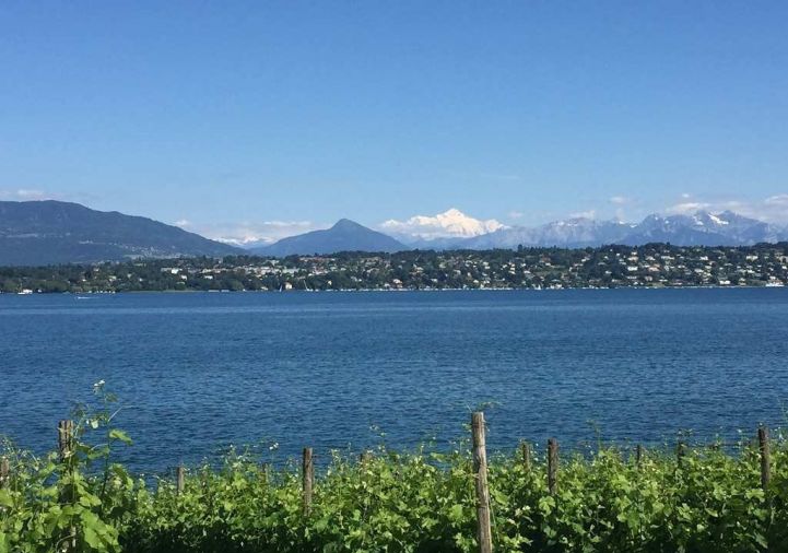 for sale Appartement en frais réduits Ferney Voltaire