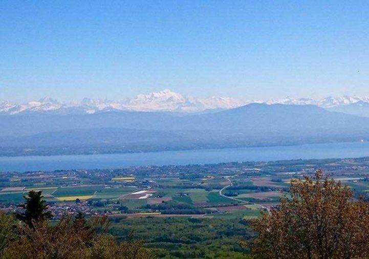 for sale Appartement en frais réduits Saint Julien En Genevois