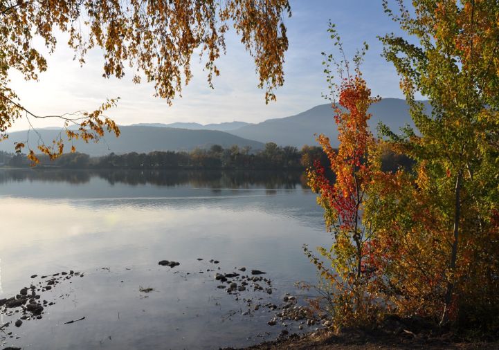 for sale Appartement en frais réduits Divonne Les Bains