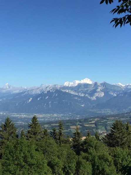 à vendre Appartement en frais réduits Archamps - Photo 2