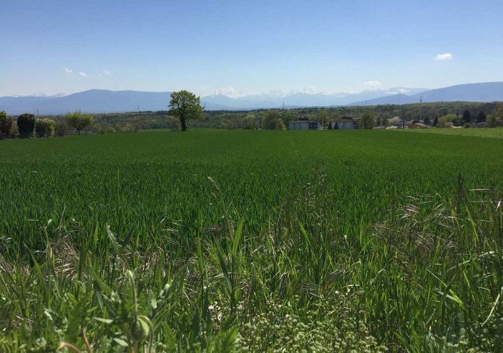 for sale Appartement en frais réduits La Roche Sur Foron