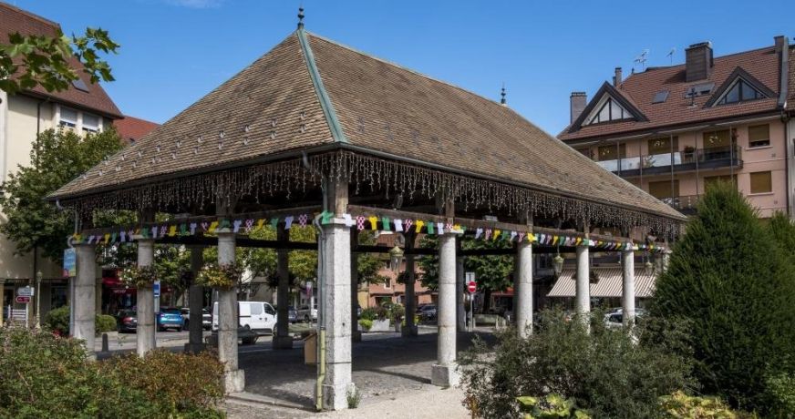 vente Appartement en frais réduits La Roche Sur Foron