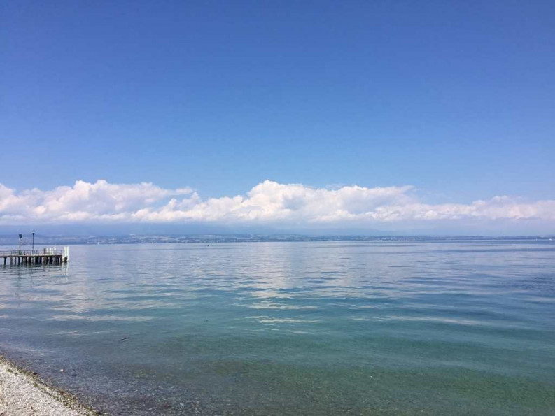 for sale Appartement en frais réduits Ambilly - Photo 2