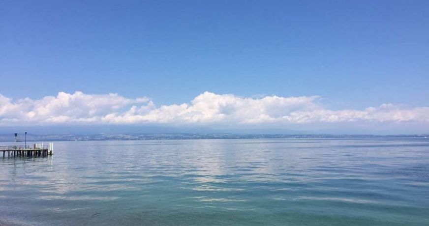 vente Appartement en frais réduits Ambilly