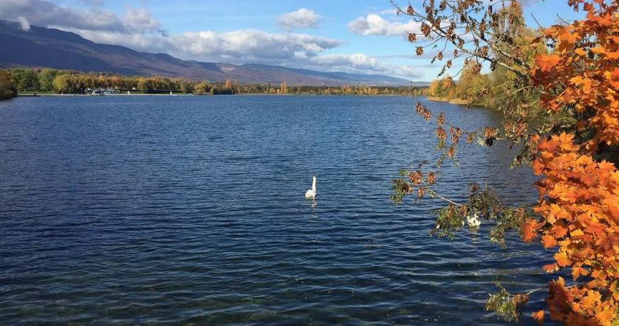 vente Appartement en frais réduits Ambilly