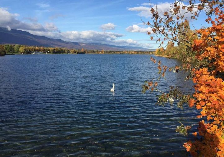 for sale Appartement en frais réduits Ambilly