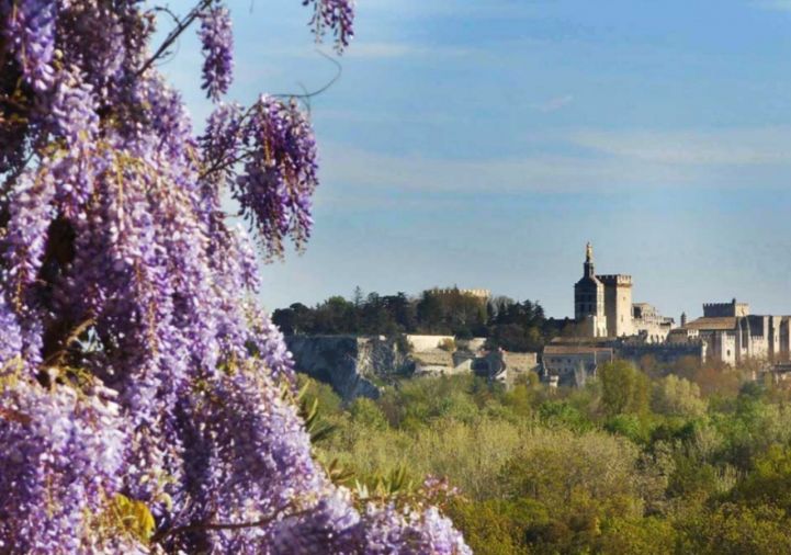 for sale Appartement en frais réduits Villeneuve Les Avignon