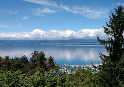 vente Appartement en frais réduits Evian Les Bains